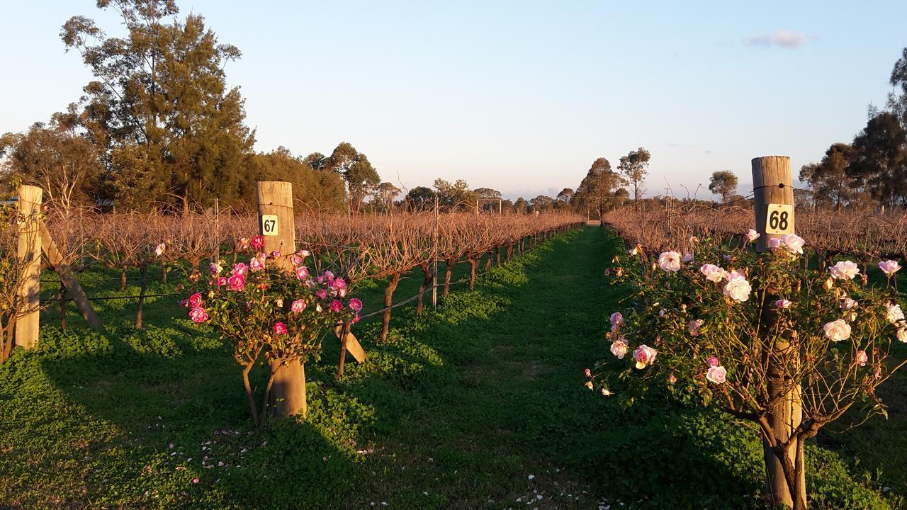 Emma'S Cottage Vineyard ラブデール エクステリア 写真