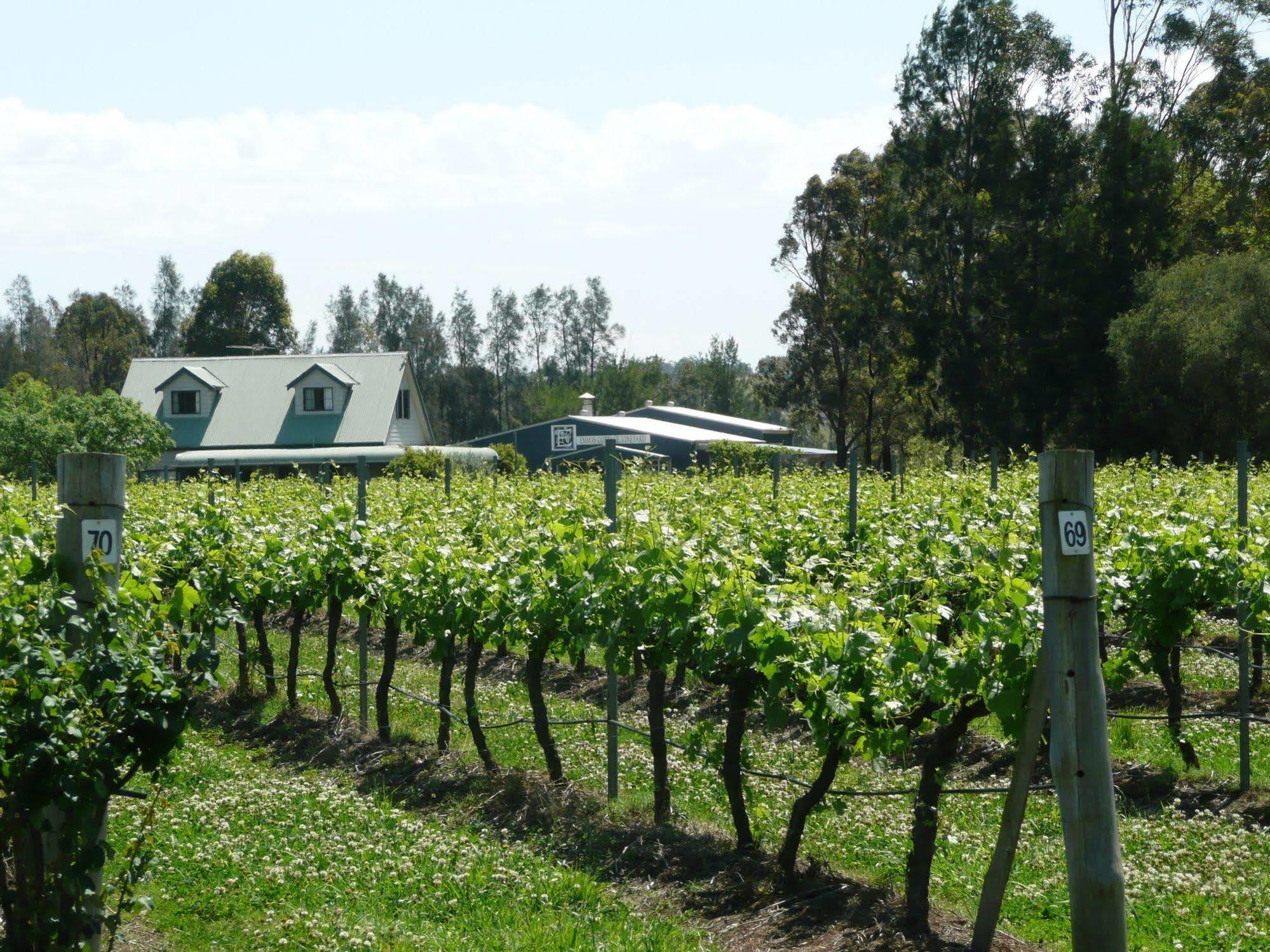 Emma'S Cottage Vineyard ラブデール エクステリア 写真