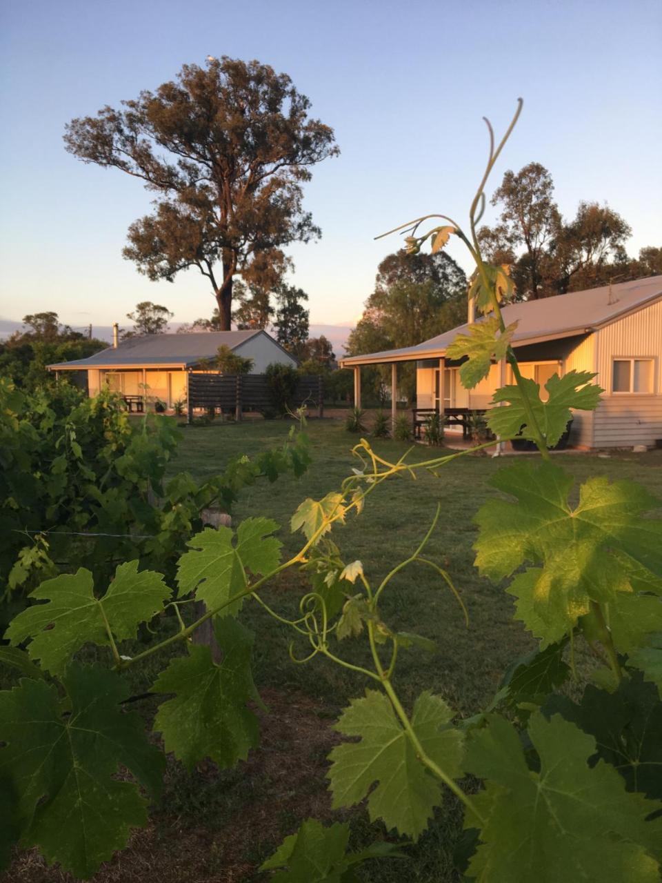 Emma'S Cottage Vineyard ラブデール エクステリア 写真